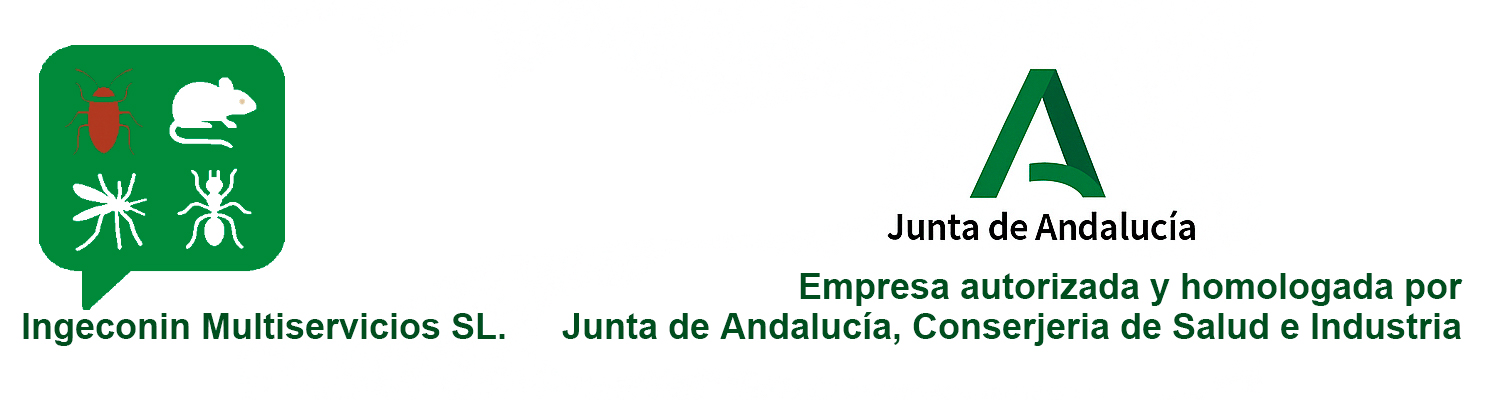 ingeconin junta