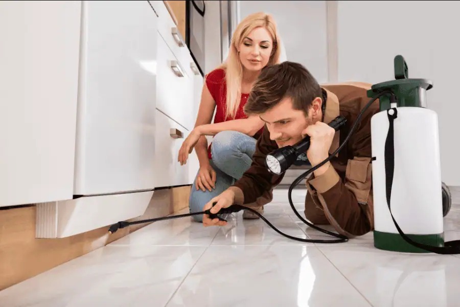pest-exterminators-technicians